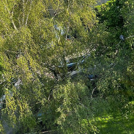 Joli, Spacieux, Lumineux Proche Paris Et Orly Villejuif Dış mekan fotoğraf