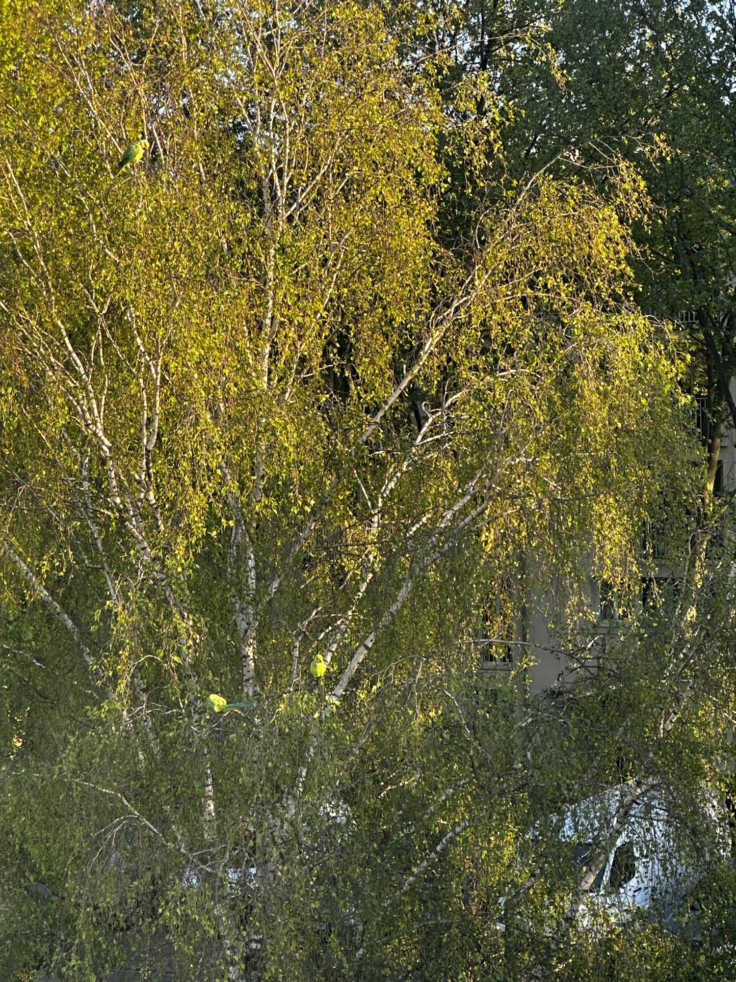 Joli, Spacieux, Lumineux Proche Paris Et Orly Villejuif Dış mekan fotoğraf